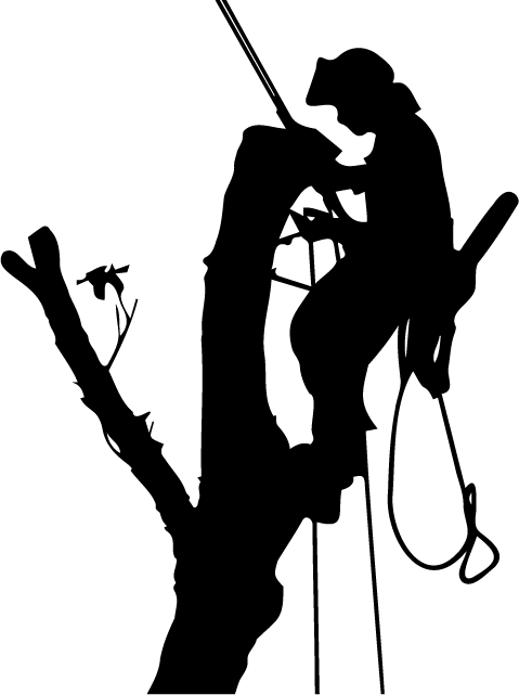 pilimvalim.ru